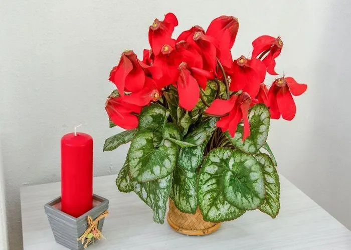 Appartement Moderno Sulle Piste Breuil-Cervinia