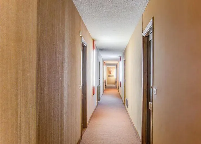 Moderno Sulle Piste Appartement *